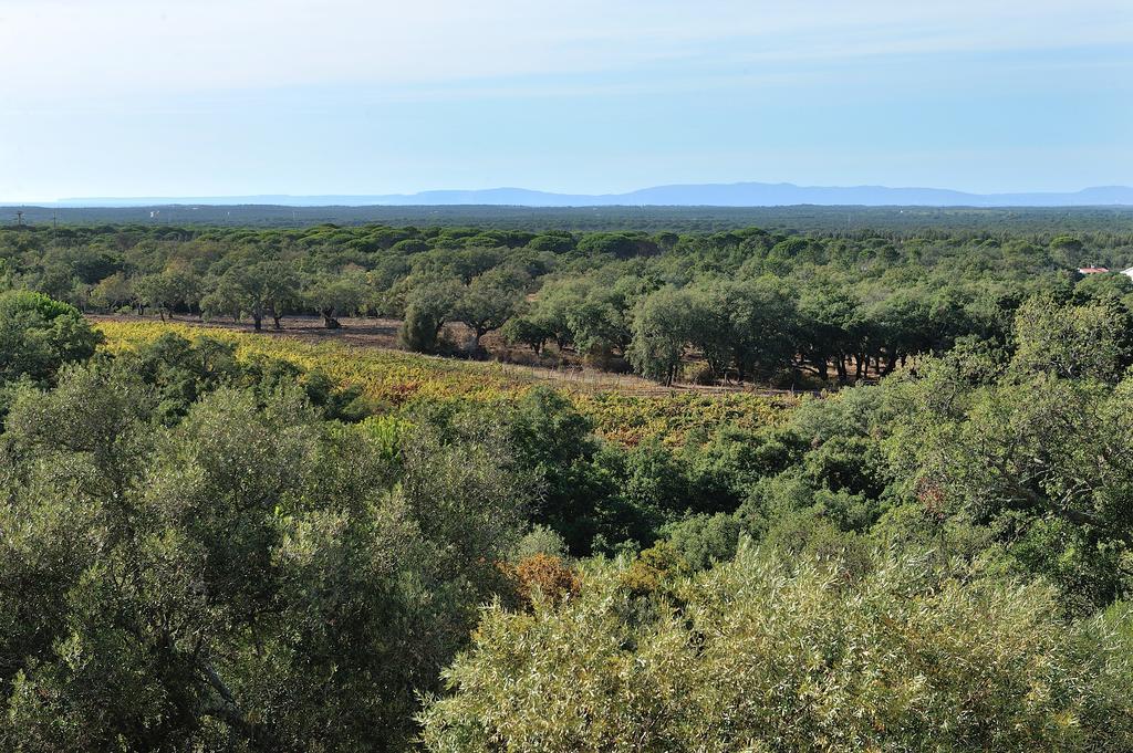 A Serenada Enoturismo Grandola Bagian luar foto